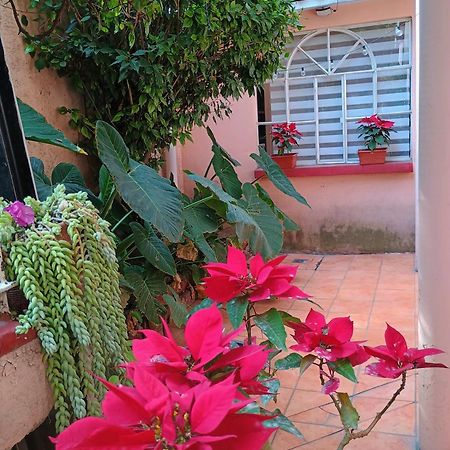 Relax Apartment Мексико Сити Екстериор снимка